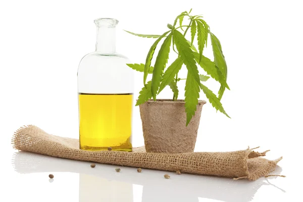 Medical cannabis Stock Photos, Royalty Free Medical cannabis Images | Depositphotos