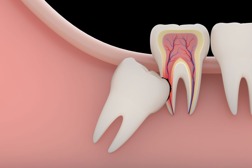 Dentist